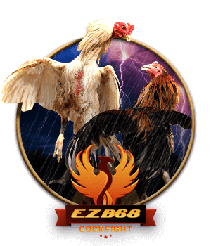 Đá Gà EZB68
